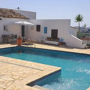 Rosa With Pool Available Albox